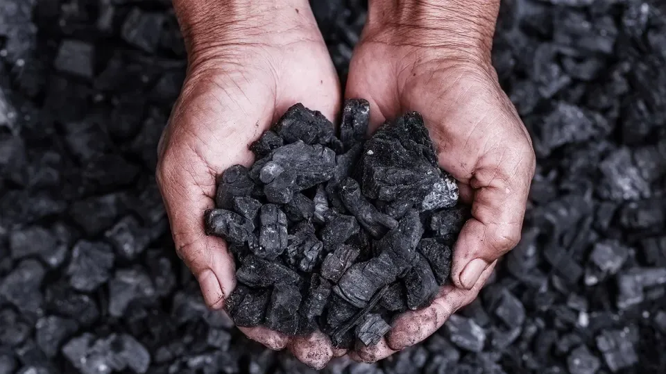 Coal handling and processing